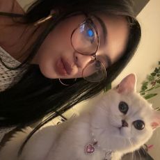 Dara  Safitri