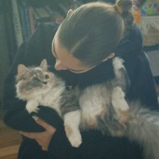 Cheyenne Mercedes   Janowitz