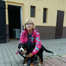 Bernadetta  Nitschke-Szram