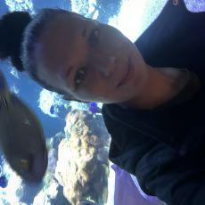 Carina   Von der Höhe 